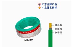 NH-BV尊龙凯时游戏电缆